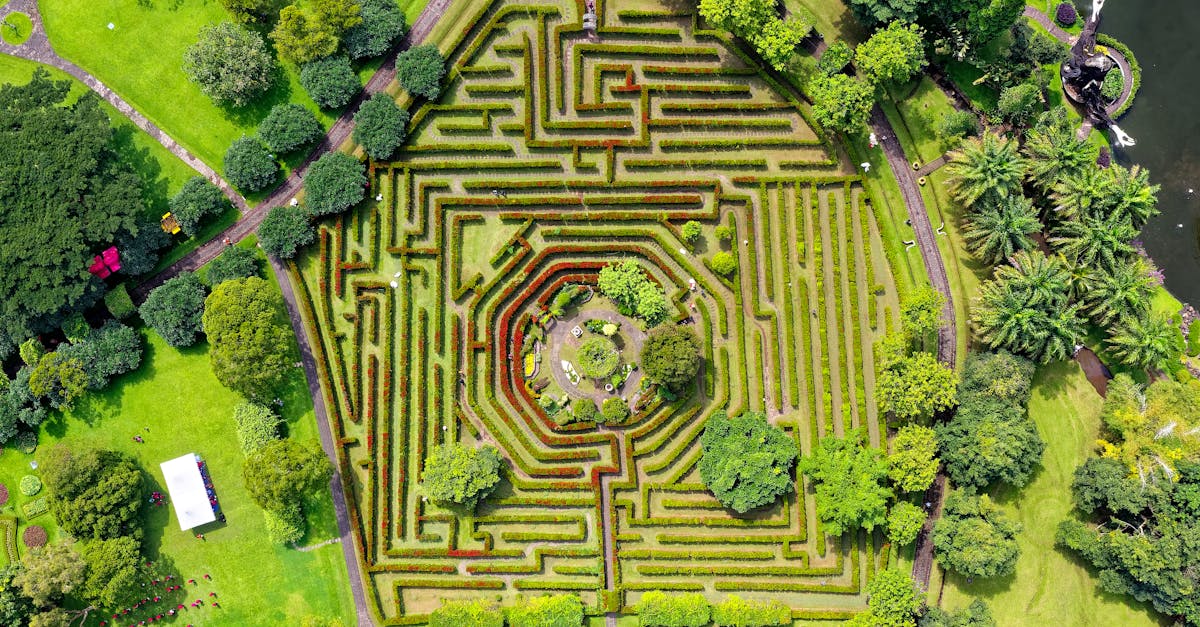 découvrez les causes, les symptômes et les options de traitement de la labyrinthite, un trouble de l'oreille interne qui peut affecter l'équilibre et l'audition. découvrez comment cette maladie est diagnostiquée et les étapes à suivre pour gérer ses effets sur votre vie quotidienne.