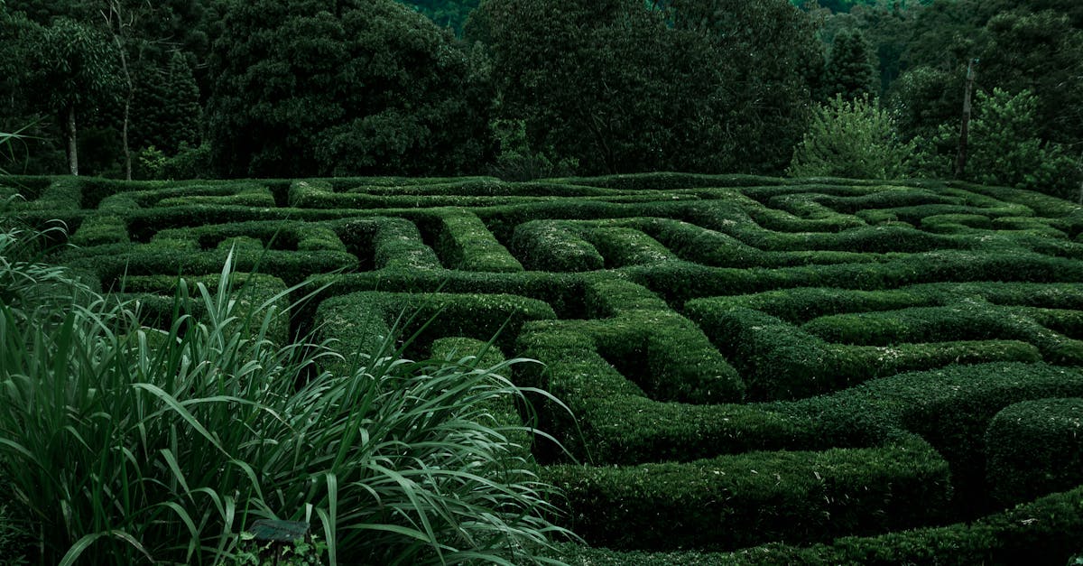 découvrez tout sur la labyrinthite, une affection de l'oreille interne qui cause des vertiges et des problèmes d'équilibre. apprenez ses symptômes, causes, traitements et conseils pour mieux vivre avec cette condition.