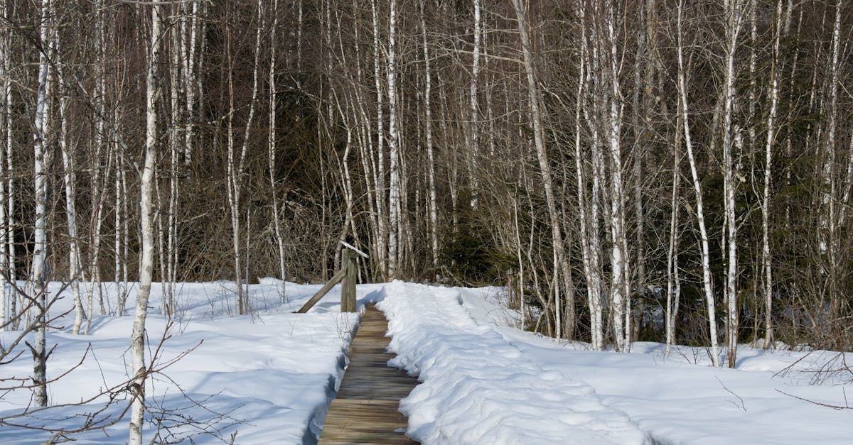 découvrez tout ce qu'il faut savoir sur l'épaule gelée (frozen shoulder) : causes, symptômes, traitements et conseils pour soulager la douleur et retrouver votre mobilité. informez-vous pour mieux comprendre cette condition et améliorer votre qualité de vie.