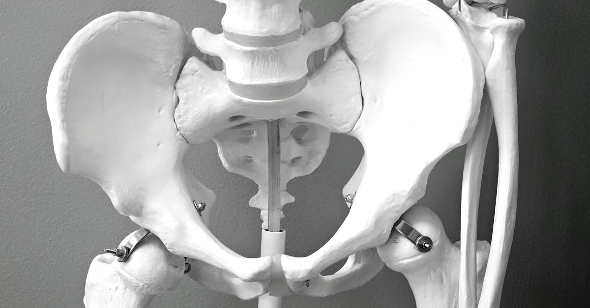 découvrez l'anatomie et le fonctionnement du pelvis, ses rôles essentiels dans le corps humain et son importance pour la santé. plongez dans l'univers fascinant de cette structure osseuse et ses interactions avec d'autres systèmes.