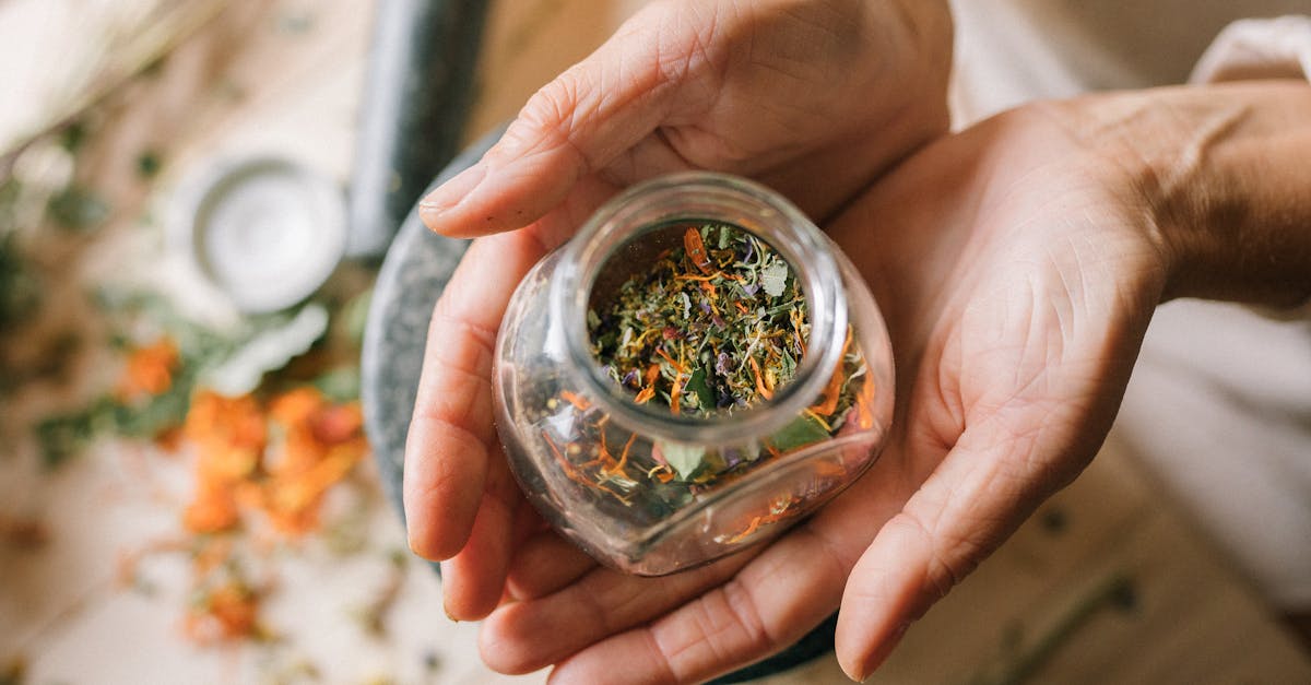 découvrez des remèdes naturels efficaces pour améliorer votre bien-être au quotidien. explorez nos astuces et conseils santé, issus de la médecine douce, pour soulager divers maux grâce à des solutions au naturel.