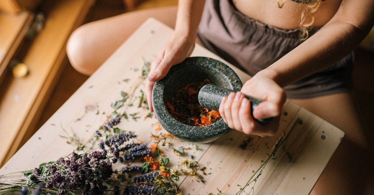 découvrez les meilleurs remèdes naturels pour soulager vos maux du quotidien. optez pour des solutions saines et efficaces grâce à la richesse des plantes et des ingrédients naturels.