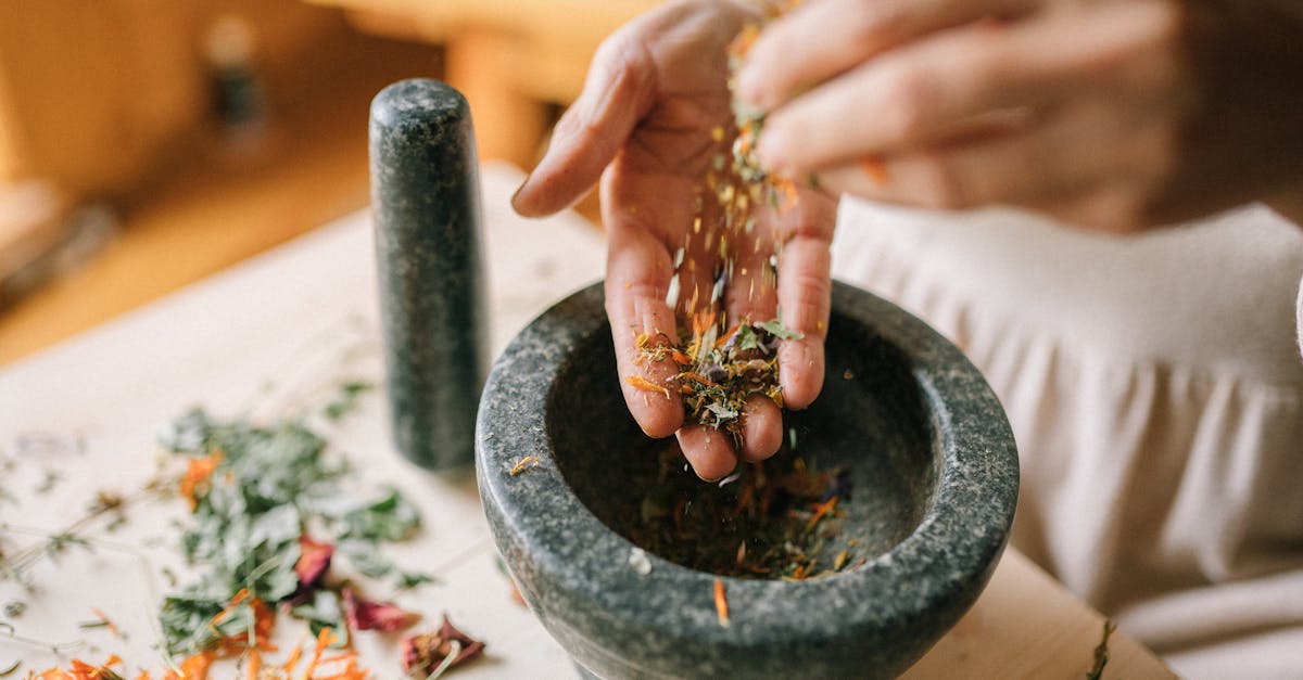 découvrez des remèdes naturels efficaces pour améliorer votre bien-être. apprenez à utiliser des plantes, des huiles essentielles et d'autres solutions naturelles pour soulager divers maux du quotidien.