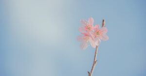 découvrez les céphalées en grappes, une forme intense de douleur chronique. apprenez à reconnaître les symptômes, les facteurs déclenchants et les options de traitement disponibles pour soulager ces crises migraines. informez-vous sur cette condition souvent mal comprise et comment améliorer votre qualité de vie.