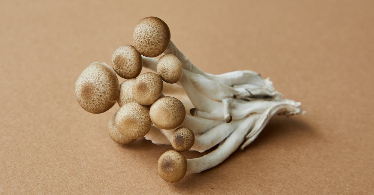 découvrez tout sur les céphalées en grappes, des maux de tête intenses et récurrents, leurs symptômes, causes, traitements et conseils pour mieux les gérer au quotidien.