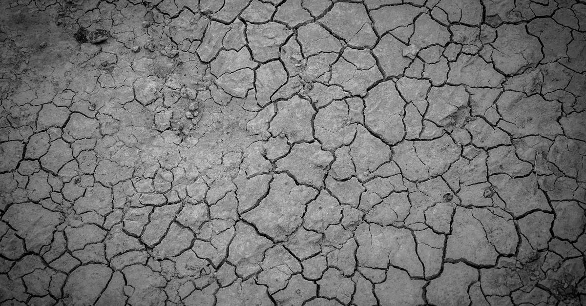 découvrez les effets de la déshydratation sur le corps et l'importance de rester hydraté. apprenez à reconnaître les signes de déshydratation et les meilleures pratiques pour prévenir ce problème courant.
