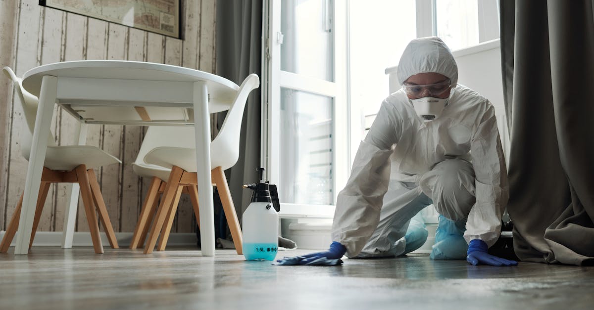 découvrez l'impact des épidémies sur la santé mondiale, les réponses des gouvernements et des organisations, ainsi que les mesures préventives à adopter pour protéger les populations.