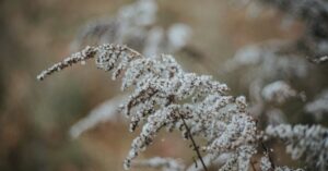 découvrez tout sur l'épaule gelée : causes, symptômes et traitements efficaces pour soulager la douleur et retrouver votre mobilité. informez-vous sur les meilleures stratégies de prise en charge pour une guérison rapide.
