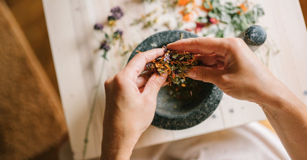 découvrez l'approche holistique qui intègre le bien-être physique, mental et émotionnel pour une vie équilibrée et harmonieuse. explorez des méthodes naturelles et des pratiques qui favorisent une santé optimale et un épanouissement personnel.