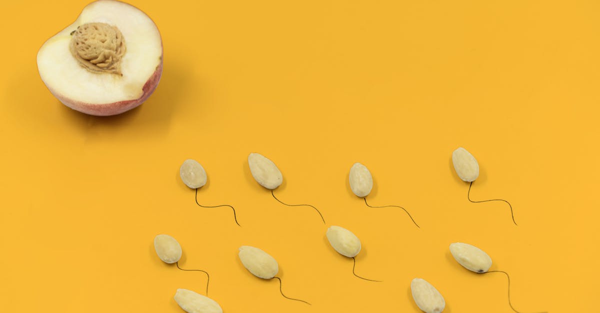 découvrez comment les maux de tête hormonaux peuvent affecter votre quotidien. apprenez à identifier les causes, à atténuer les symptômes et à gérer vos douleurs grâce à des conseils pratiques et des solutions adaptées.
