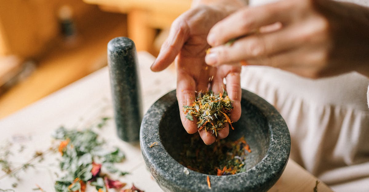 découvrez des remèdes naturels efficaces pour améliorer votre bien-être et soulager divers maux. explorez des solutions douces et saines à base de plantes et d'ingrédients naturels.