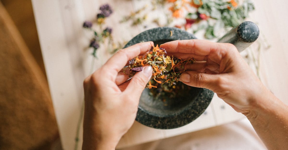 découvrez les remèdes naturels pour améliorer votre santé et bien-être. explorez des solutions douces et efficaces à base de plantes, d'huiles essentielles et de conseils pratiques pour soulager divers maux au quotidien.