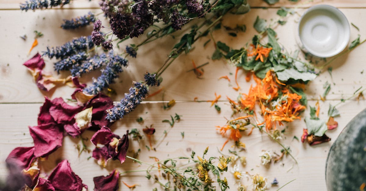 : Integral wellness practices that promote natural healing.