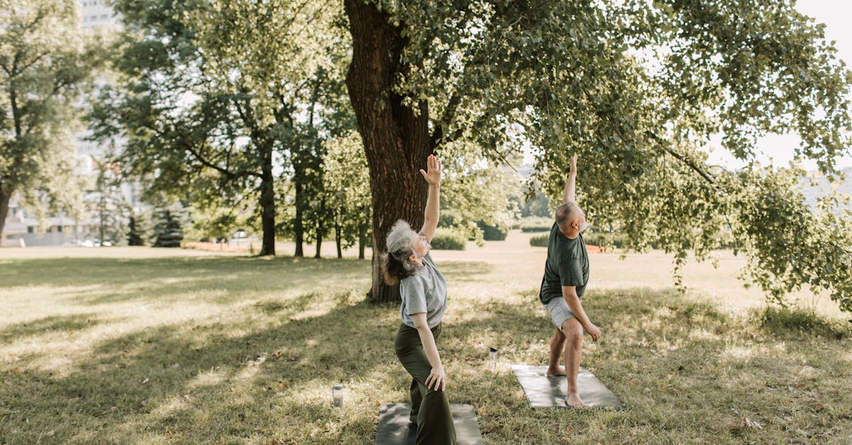 découvrez une sélection d'exercices de stretching pour améliorer votre flexibilité, réduire le stress musculaire et augmenter votre bien-être général. parfaits pour tous les niveaux, ces mouvements simples à réaliser à la maison vous aideront à détendre vos muscles et à prévenir les blessures.
