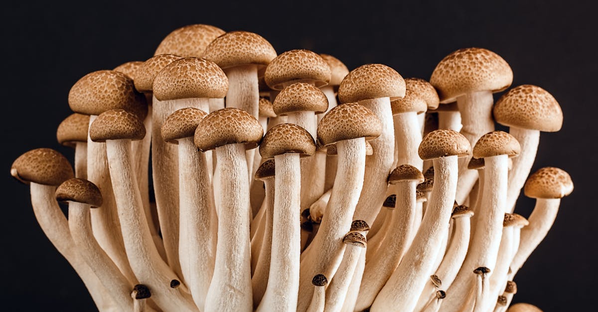 découvrez tout sur les céphalées en grappes, une forme rare mais intense de maux de tête, incluant leurs symptômes, causes, traitements et stratégies de gestion pour soulager la douleur. apprenez comment vivres mieux avec cette condition.