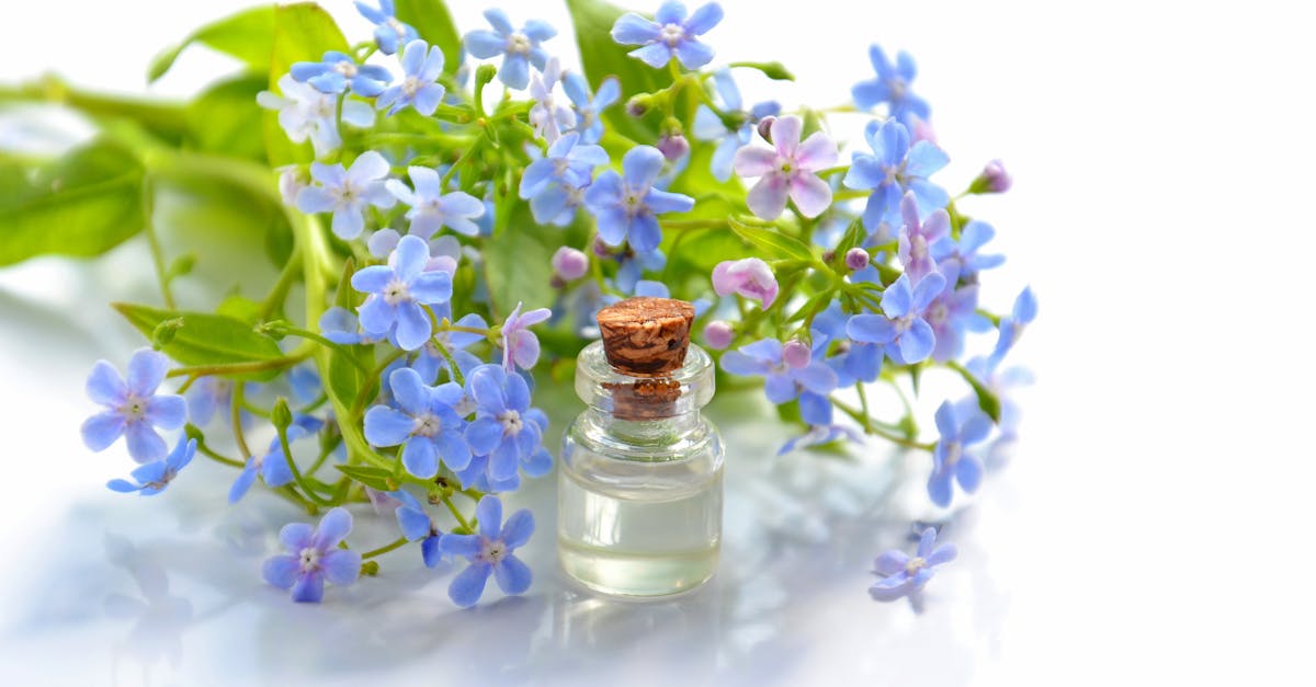 découvrez les bienfaits des huiles essentielles pour votre bien-être au quotidien. apprenez à les utiliser pour apaiser le stress, améliorer votre santé et créer une atmosphère relaxante chez vous.