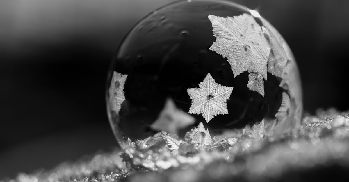 découvrez tout ce que vous devez savoir sur l'épaule gelée (frozen shoulder) : symptômes, causes, traitements et conseils pour soulager la douleur et retrouver la mobilité. informez-vous sur cette condition courante et les moyens d'améliorer votre qualité de vie.