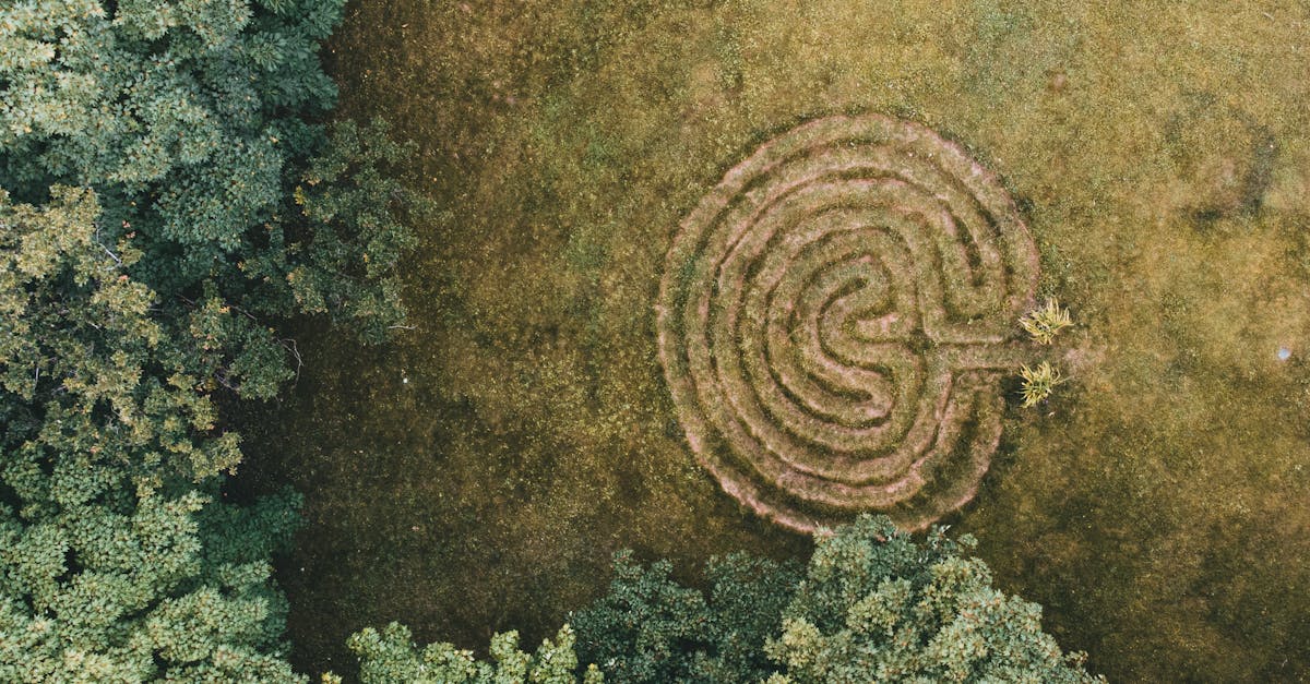 découvrez tout sur la labyrinthite, une affection de l'oreille interne provoquant vertiges, déséquilibres et acouphènes. apprenez les causes, symptômes, et traitements de cette maladie pour mieux comprendre et gérer votre santé auditive.