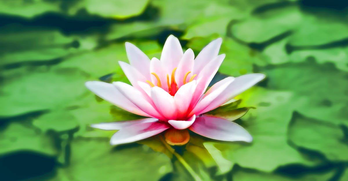 découvrez les bienfaits de la méditation pour apaiser votre esprit, améliorer votre concentration et favoriser votre bien-être. explorez des techniques variées adaptées à tous les niveaux pour intégrer la pleine conscience dans votre quotidien.