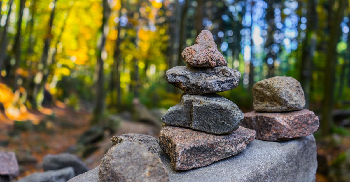 découvrez l'équilibre parfait avec notre guide sur la balance. apprenez à gérer votre poids, à maintenir une santé optimale et à trouver l'harmonie entre le corps et l'esprit. pratiques, conseils et astuces pour une vie équilibrée.