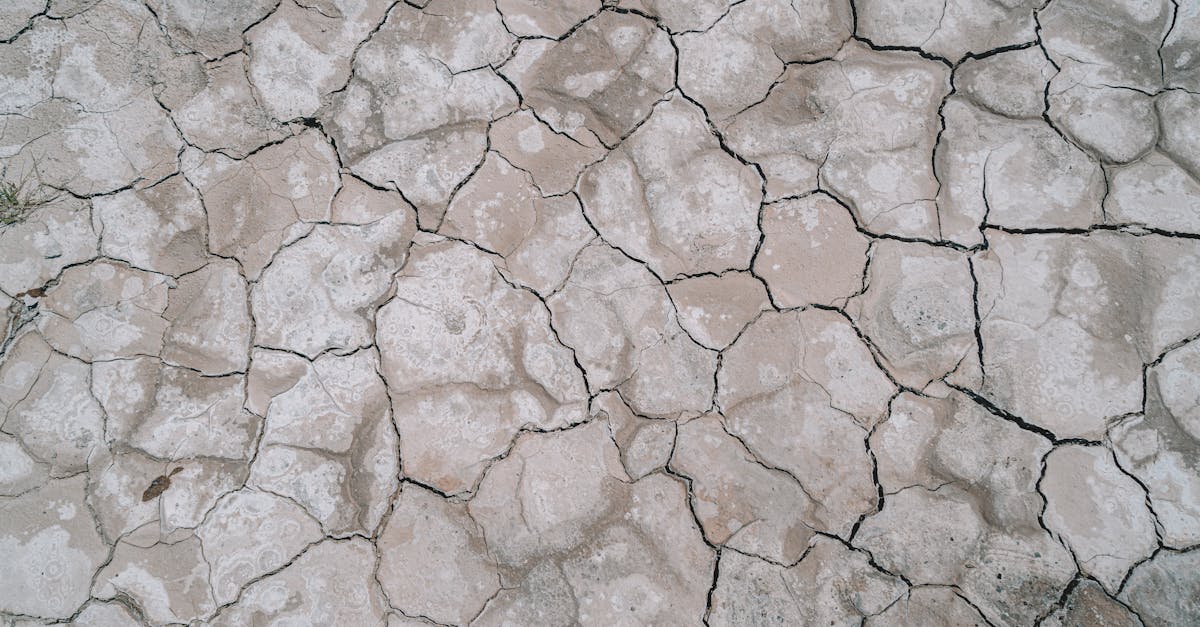 découvrez les causes, les symptômes et les conseils pour prévenir la déshydratation. informez-vous sur l'importance de l'hydratation pour votre santé et adoptez des gestes simples pour rester bien hydraté au quotidien.