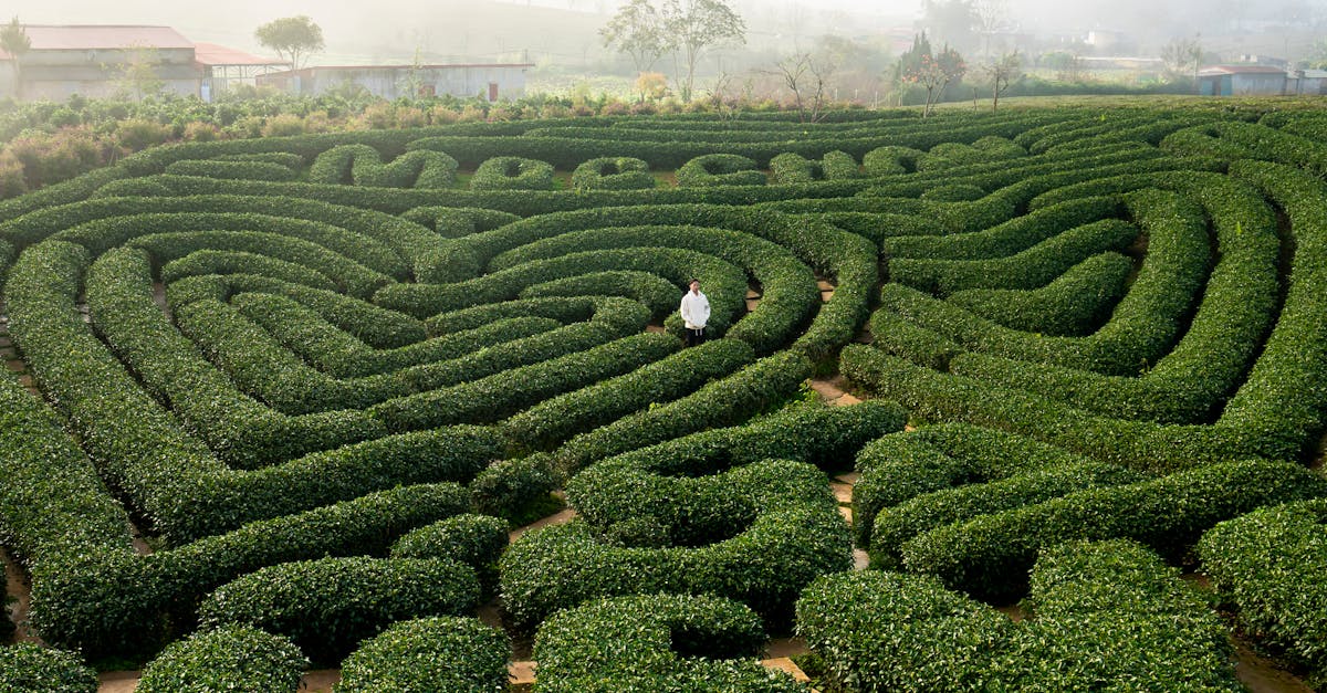 découvrez tout ce qu'il faut savoir sur la labyrinthe, une affection de l'oreille interne qui peut provoquer des vertiges et des troubles de l'équilibre. apprenez à reconnaître ses symptômes, ses causes et les options de traitement disponibles pour soulager les patients.