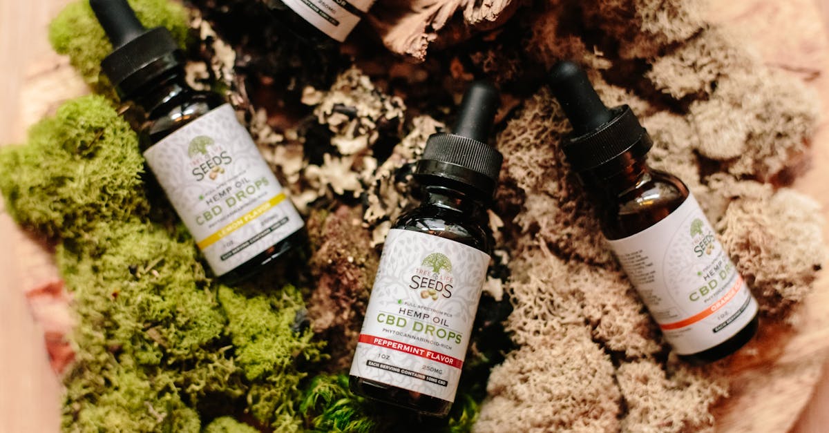 découvrez des solutions naturelles pour soulager vos douleurs sans médicaments. explorez des remèdes efficaces et des approches holistiques pour améliorer votre bien-être et retrouver le confort au quotidien.
