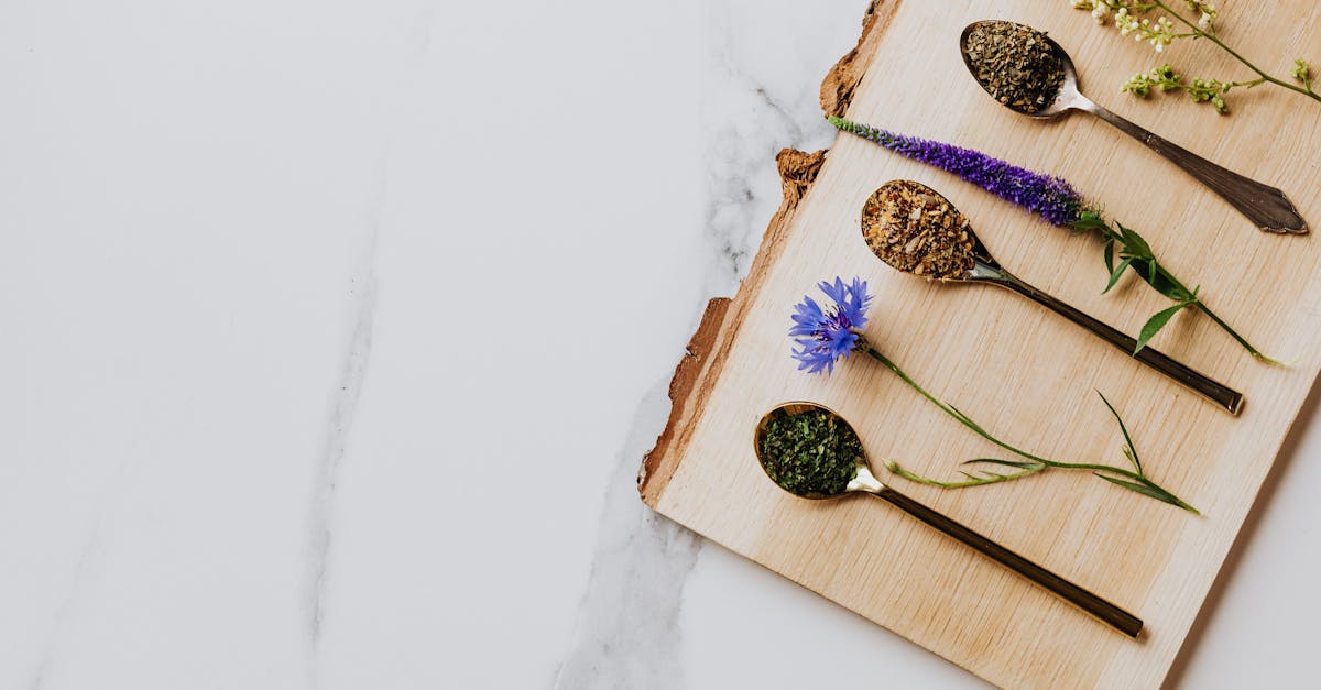 découvrez des remèdes naturels pour améliorer votre santé et votre bien-être au quotidien. explorez des solutions douces et efficaces à base de plantes, d'huiles essentielles et de conseils pratiques pour une vie plus équilibrée.