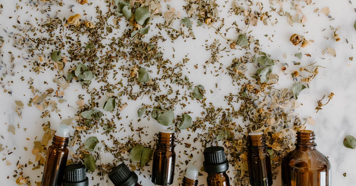 découvrez des remèdes naturels pour améliorer votre bien-être au quotidien. explorez des solutions de santé efficaces et douces, basées sur la nature, pour soulager divers maux et promouvoir un mode de vie sain.