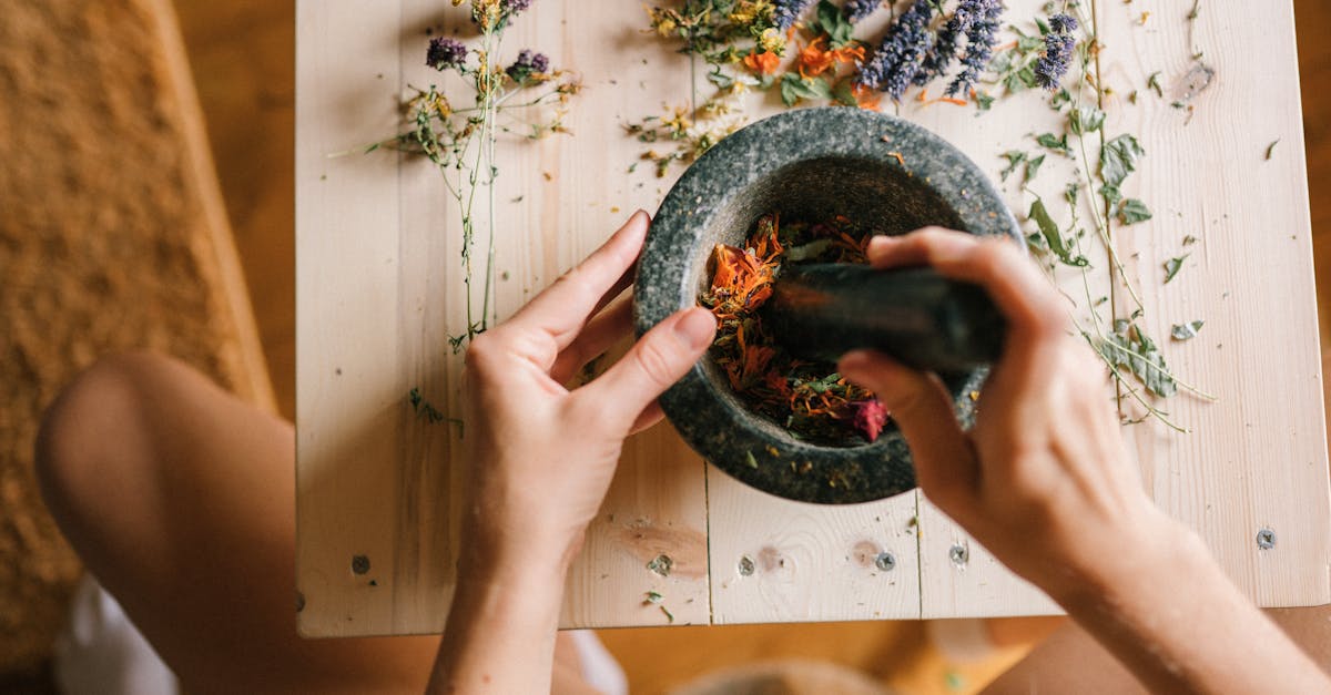 découvrez des remèdes naturels efficaces pour améliorer votre bien-être au quotidien. explorez des solutions santé à base de plantes, d'huiles essentielles et de techniques ancestrales pour soulager maux courants et booster votre vitalité.