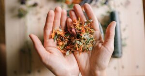 découvrez des remèdes naturels pour améliorer votre bien-être au quotidien. explorez des solutions à base de plantes, d'huiles essentielles et de techniques ancestrales pour soulager divers maux et favoriser une santé optimale.