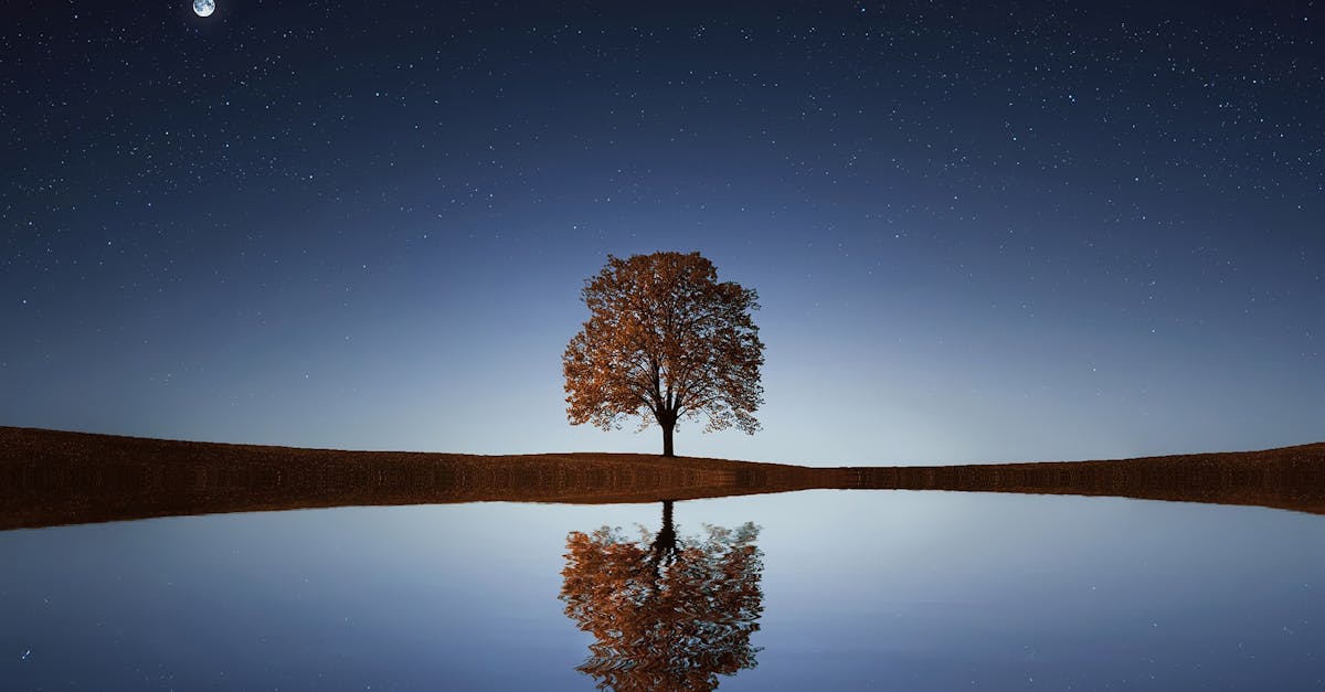 Discover the art of relaxation with our tips and techniques. Learn how to calm your mind and body, reduce stress, and achieve a state of true well-being. Immerse yourself in a world of serenity and balance. ```html