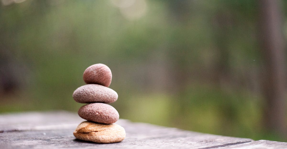 découvrez l’utilité d’une balance pour peser vos aliments, objets ou ingrédients avec précision. choisissez la balance adaptée à vos besoins : cuisine, salle de bain, électronique ou mécanique.