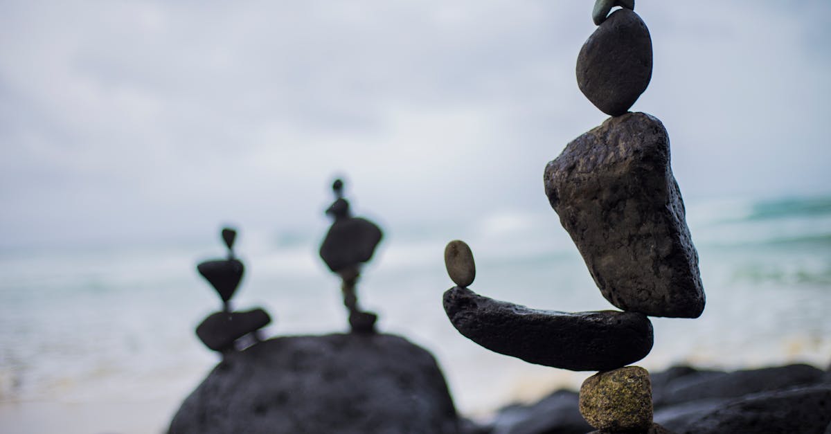 discover the art of meditation to calm your mind and improve your well-being. explore different meditation techniques, practical tips and resources to integrate this beneficial practice into your daily life.