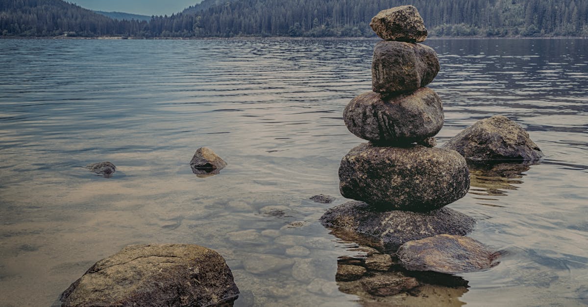 découvrez la méditation : ses bienfaits pour le mental, la gestion du stress et le bien-être. conseils, techniques et exercices pour débutants et pratiquants confirmés.